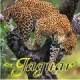 ~Jaguar's avatar