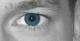 Markus's avatar
