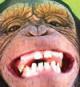 TCJeter's avatar
