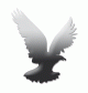 silverhawk's avatar