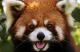haiduong87's avatar