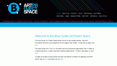 Blue Oyster Art Project Space