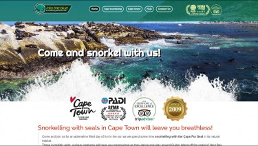 Snorkel Cape Town