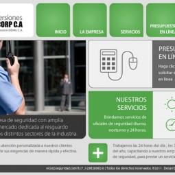 Vicorp Seguridad 2011-10-05