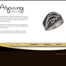 Aspiring Jewellers 2010-11-10