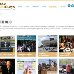 Buzz Monkeys 2014-11-19