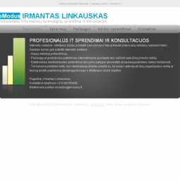 Profesionalūs IT sprendimai - eModus
