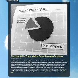 MarketSmartServices 2009-06-26