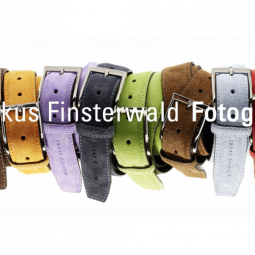 Markus Finsterwald Fotografie 2011-01-01