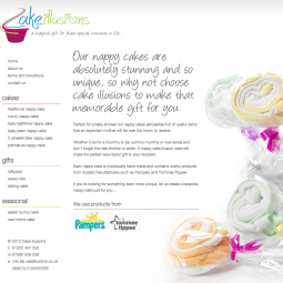 Cake Illusions 2011-07-01