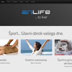 AnLife 2013-01-03