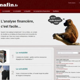 Anafin.fr, l'analyse financière facile 2011-02-17
