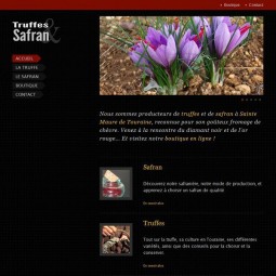 Touraine truffes et safran 2011-12-16