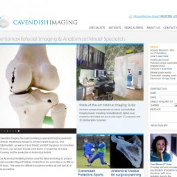 Cavendish Imaging 2010-02-24