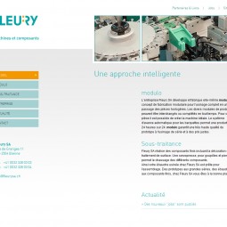 Fleury SA 2010-05-01