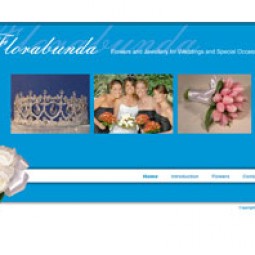 Florabunda - Northland Wedding Flowers & Jewellery 2011-09-14