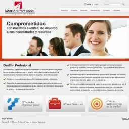 gestion profesional 2010-04-12