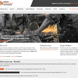 Injury Prevention Aotearoa (Stripe the Web)