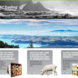 NAC Trading 2011-01-15
