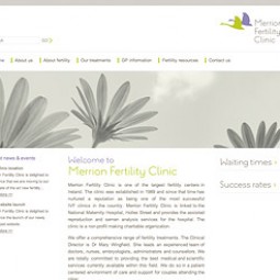 Merrion Fertility Clinic 2010-03-02