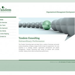 Tandem Consulting 2010-01-12