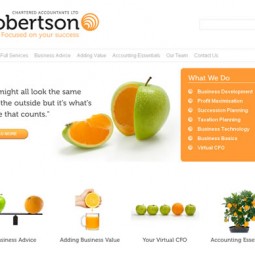 Robertson Chartered Accountants, Nelson, Wellingto 2010-03-25