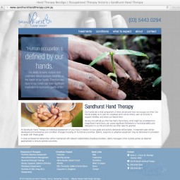 Sandhurst Hand Therapy Bendigo 2013-12-20