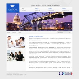 SIlverfox Executive Search 2011-04-10