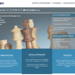 TJDev - helping you develop your projects (benshu)