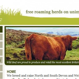 Wild Beef 2009-03-25