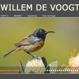Willem de Voogt 2012-06-21