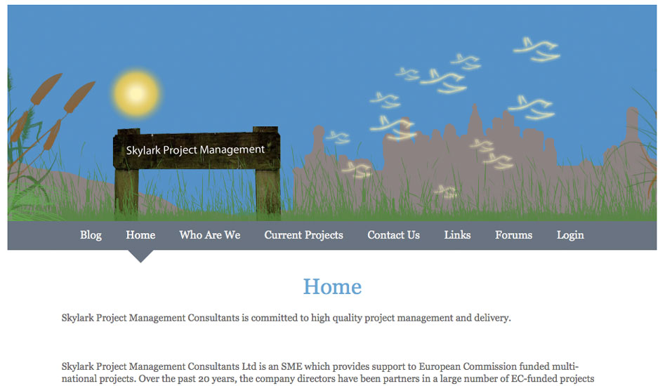 Skylark Project Management  (Knoxy)