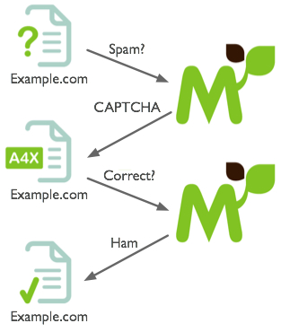 Flow chat of how Mollom protects websites against spam