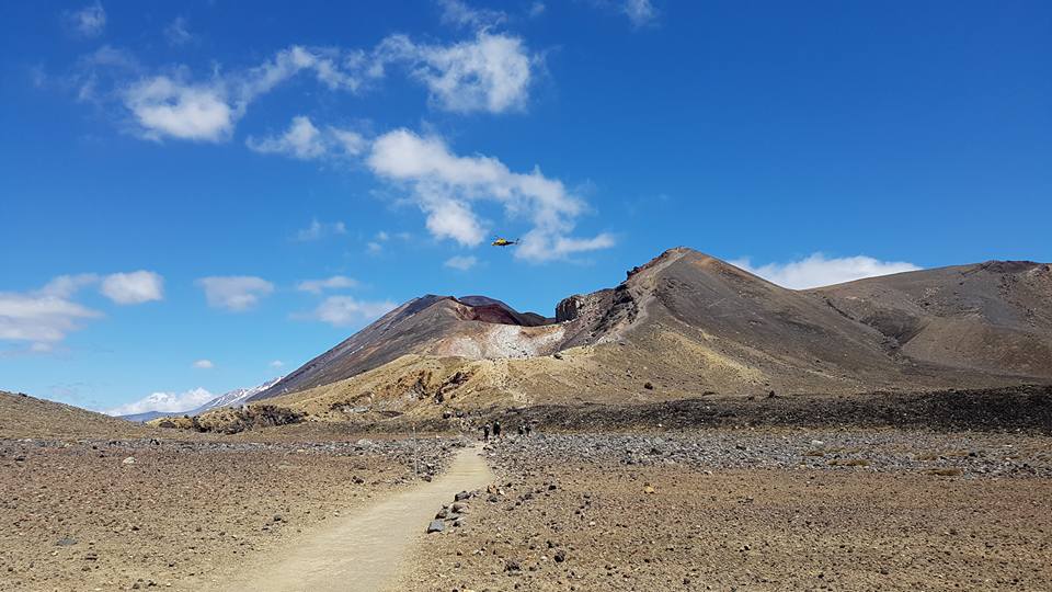 16388389 10154945621638908 4437935477569331740 n