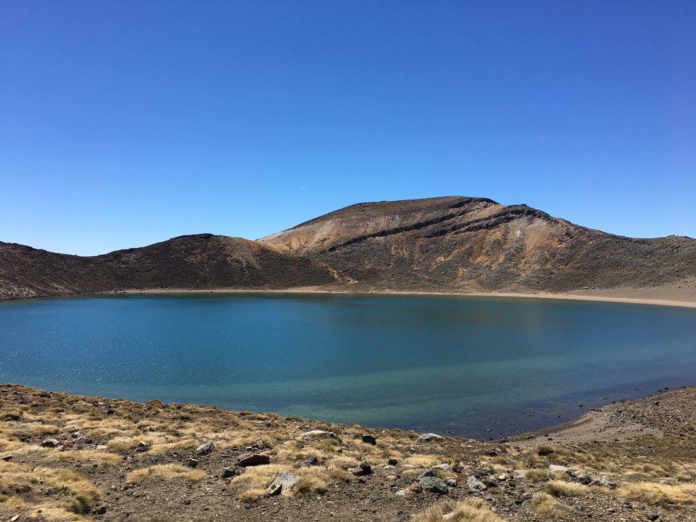 16402840 10208581221357099 2353870065251604829 o