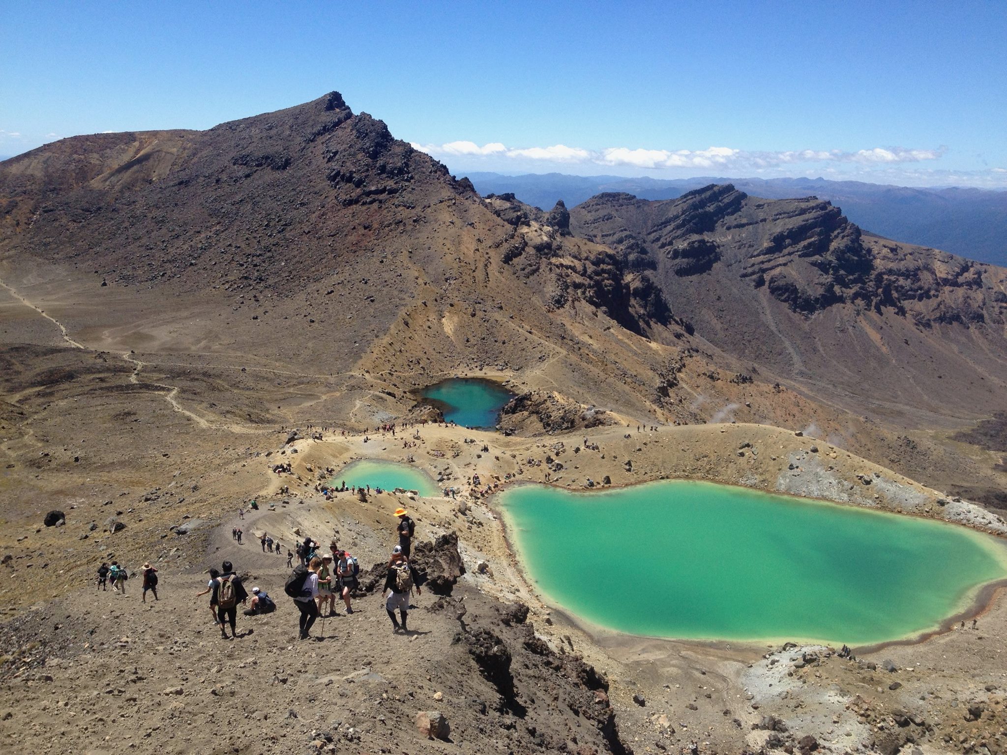 16422942 10155143279566833 3511110972161647429 o