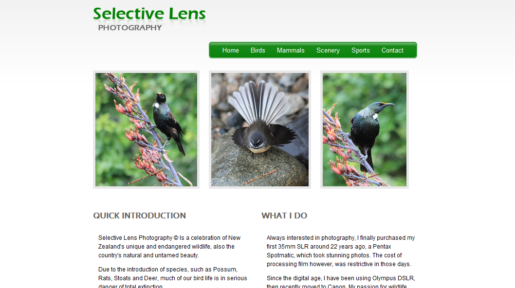 Selective Lens Photography (Wood)