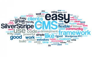 ResizedImageWzgwMCw1MDFd why use silverstripe 2016 image