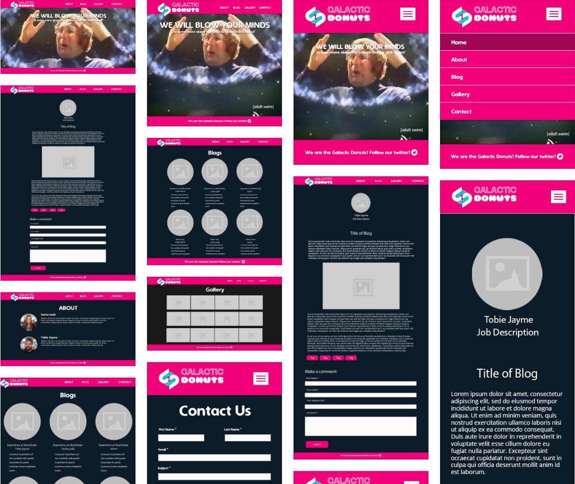 Screen Shot 2017 02 09 at 12.16.50 PM