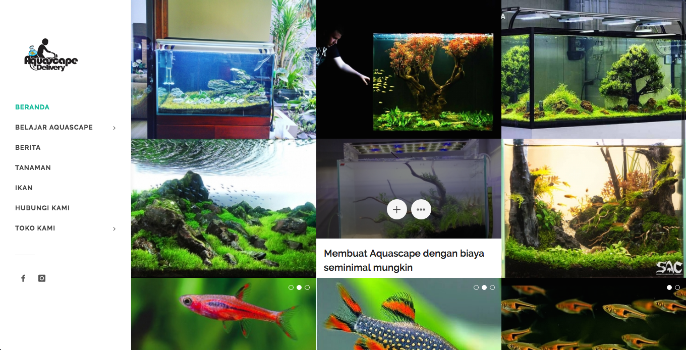 Aquascape Delivery Surabaya (andazlan)