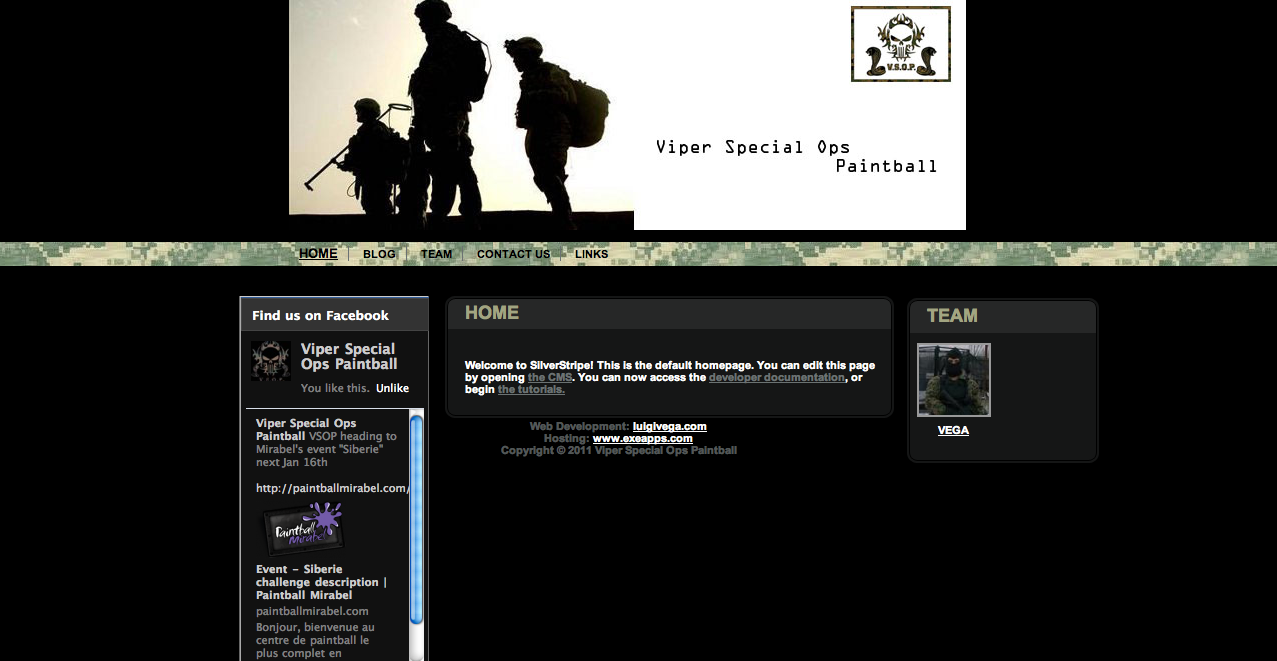 Viper Special Ops Paintball (luismontreal)