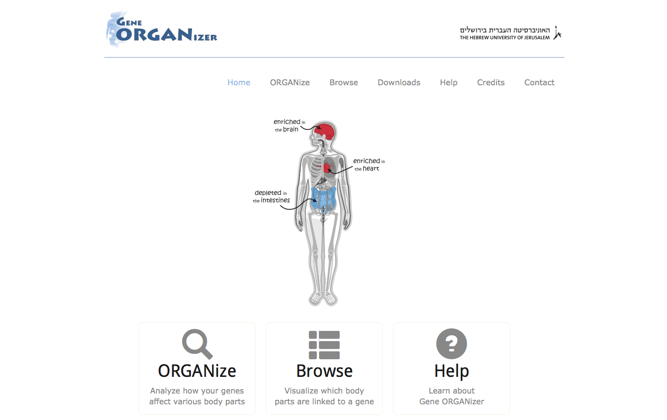 Gene ORGANizer (superk)