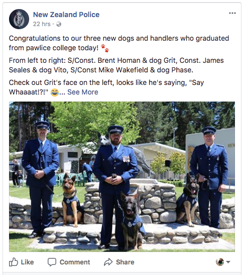Police dog and handler graduation Instagram post
