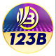 123bengineering's avatar
