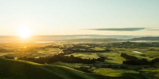 Silver Fern Farms Header Image image