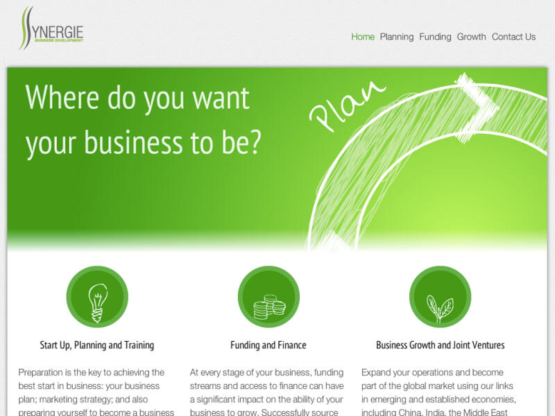 Synergie Business (bones)