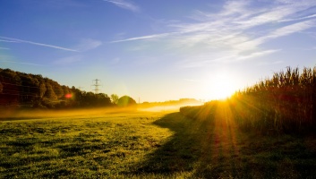 meadow 503926 1920 image