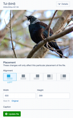 The new Details button in the CMS