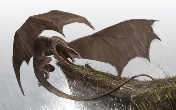 warrior facing the dragon fantasy hd wallpaper 1920x1200 8834