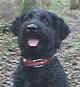 dorset_snapper's avatar